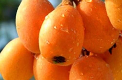 适合冬天吃的3种食物，营养丰富、滋润身体，好处多多