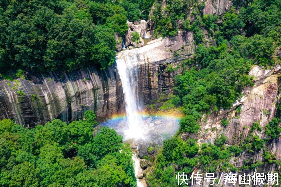 门票|河南专属于你的秋色丨银杏已黄，枫叶转红…撩人秋色等你来赏