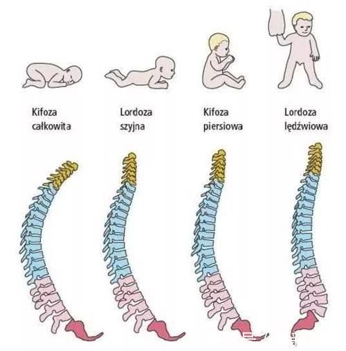 小杨|横抱就哭竖抱就“老实”,宝宝几个月能竖抱?掌握姿势才不伤脊椎