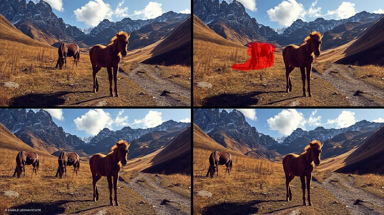 Capture One 21 Pro for Win v14.4.0.101 简体中文破解版