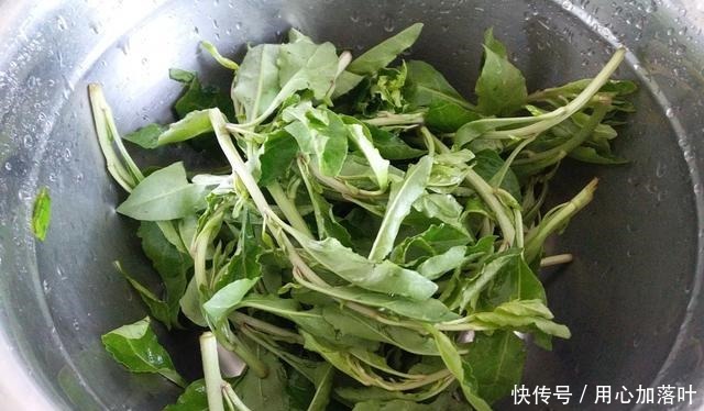 冬天多吃此菜,1块5一把,健脑软化血管,防牙龈出血,别不懂吃