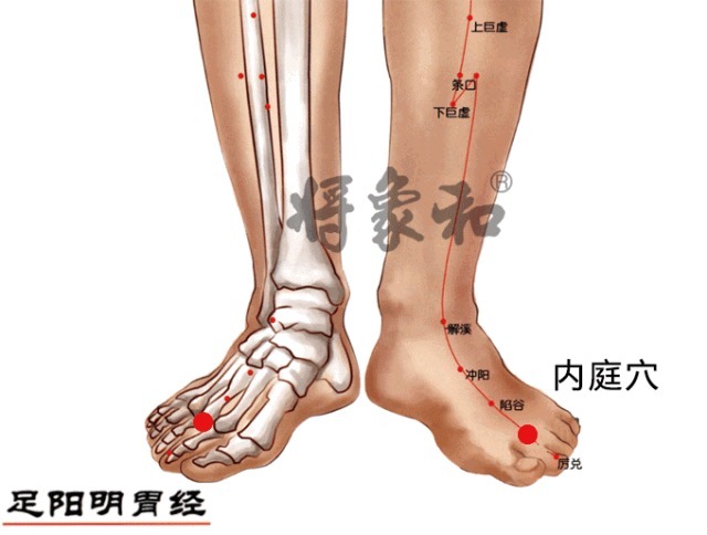 脾阳|脾虚百病生!一文区分脾气虚、脾阴虚、脾阳虚,辨证调理疾病远离