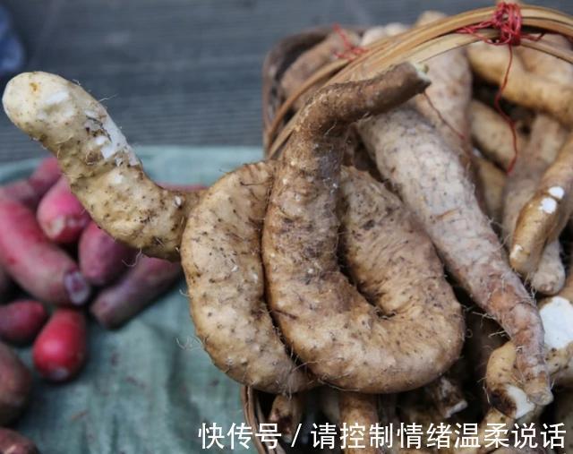 散结|天然“散结药”，女人每天吃几口，“甲状腺结节”或慢慢痊愈