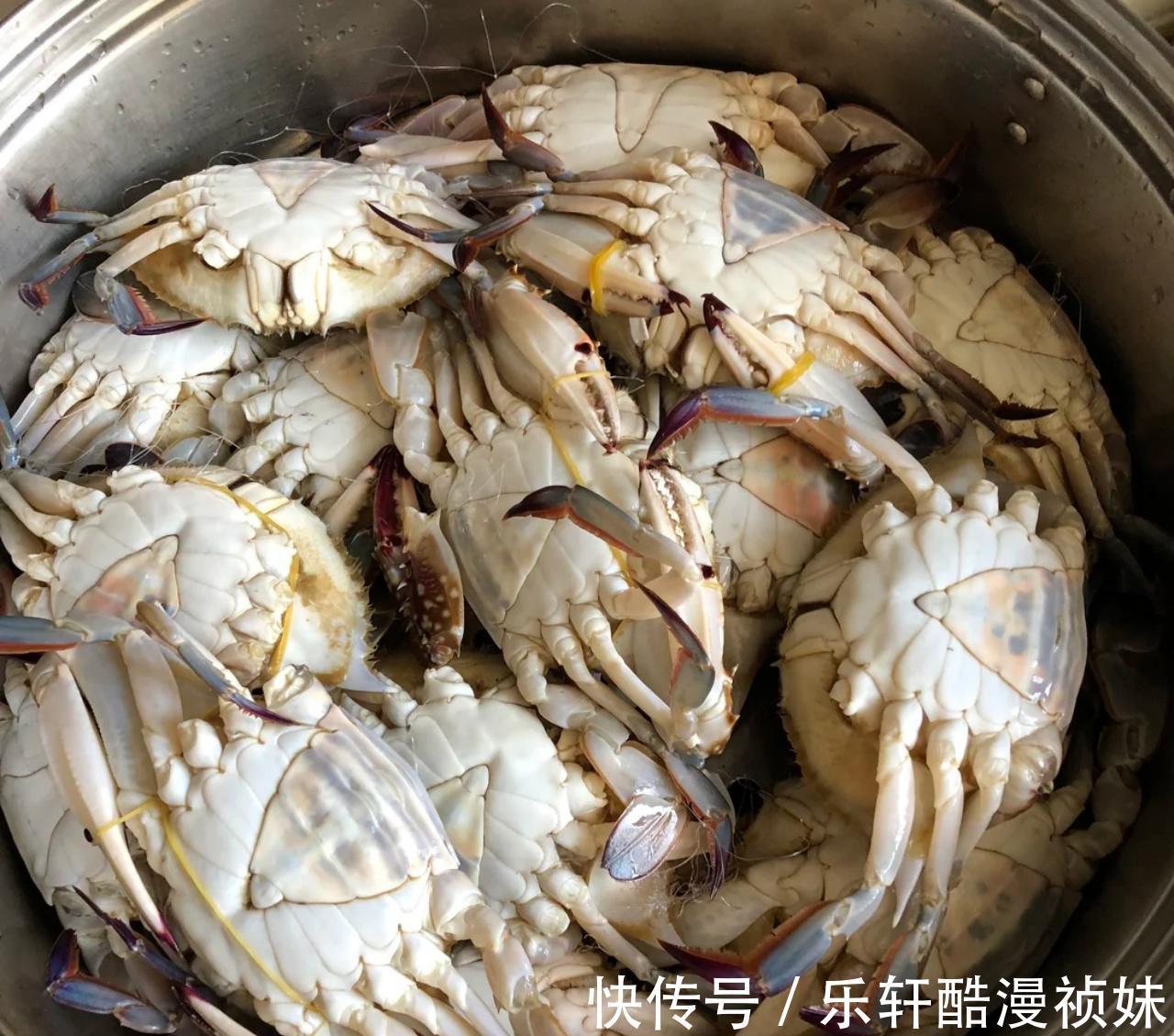 大闸蟹|蒸梭子蟹总是掉腿那是蒸法错了!教你3个技巧,鲜嫩多汁不掉腿