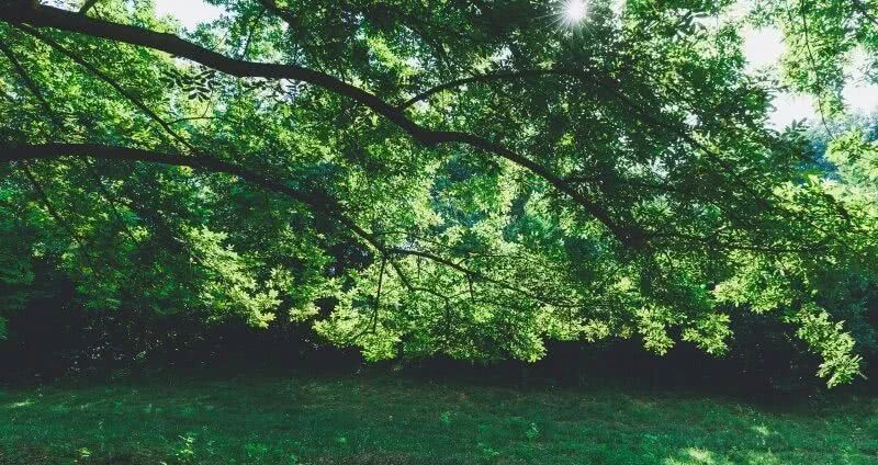 历史|带你领略八公山的悠久历史文化