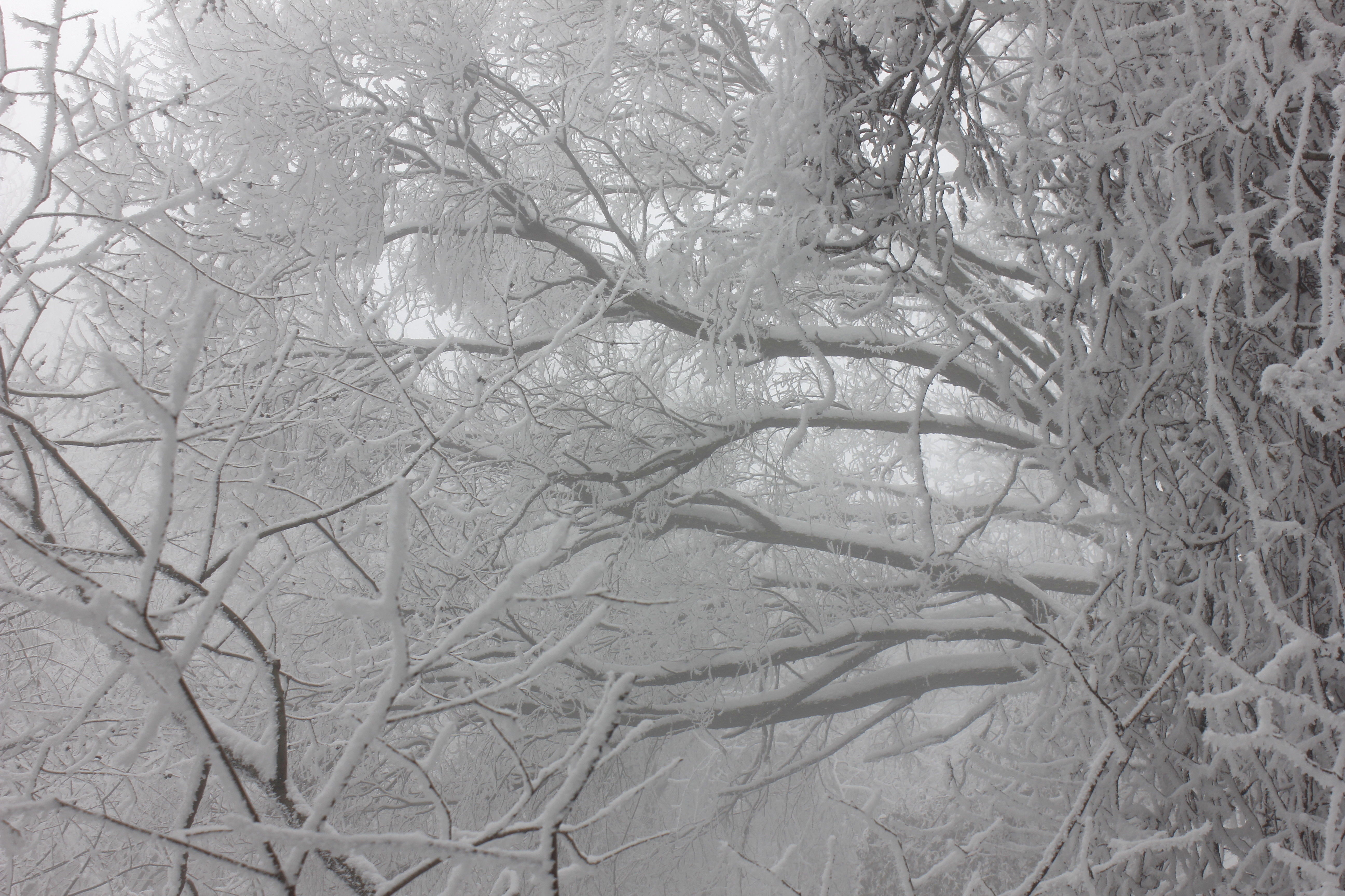 征集|【年末福利征集】雪后南五台幸遇云海