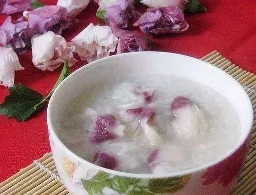 最适合家人养的四种花,健康长寿又养心!