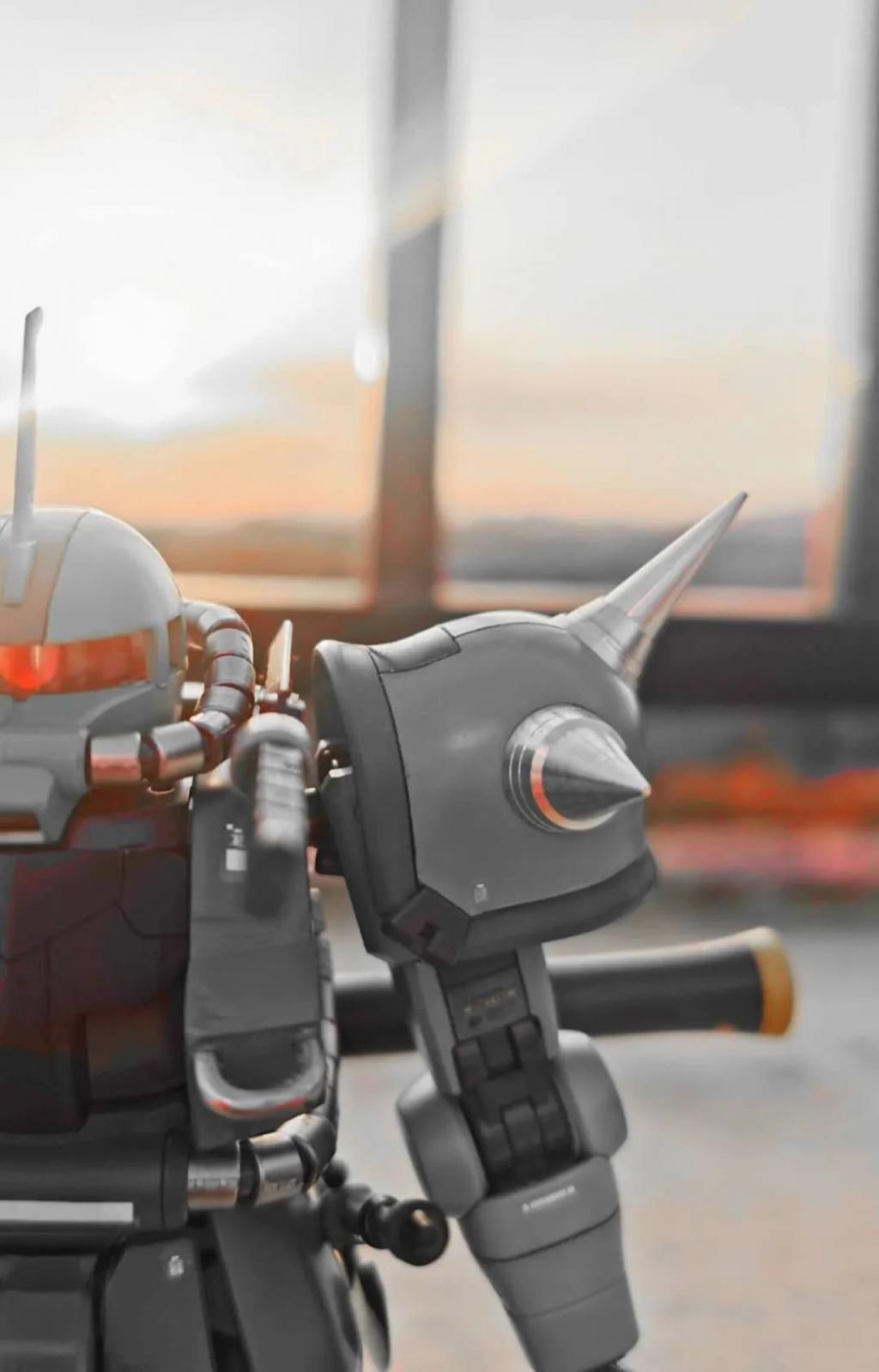 扎古|眼到手到的扎古