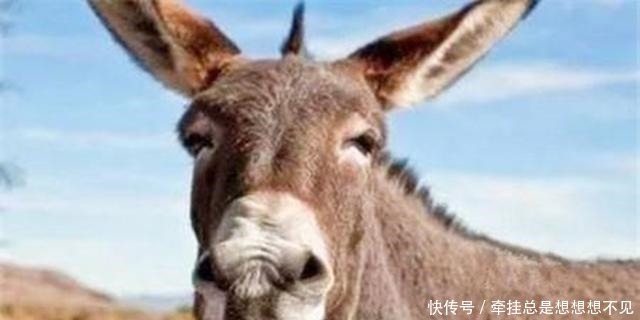 建安文学|古人也有特殊爱好, 且很多爱好会引得今人捧腹大笑, 古人却很庄重!