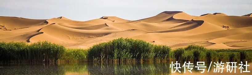 联合国|游戏还能帮助沙漠治理，这是怎么办到的？