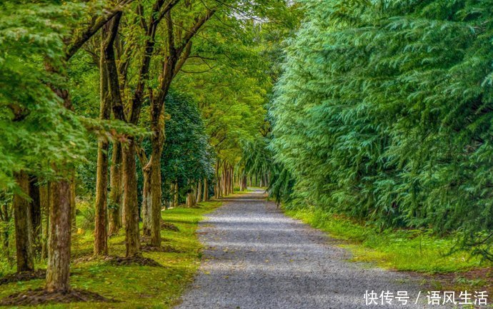 天赐福|苏州一个静谧的公园，没有江南水乡的古韵，却独得本地人喜爱