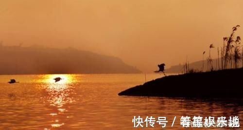 作者#一首意义深刻的诗,全篇语言犀利又辛辣,其中两句最是出名