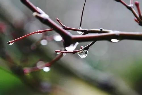  大雪|寒冬时节，这些养生知识你要懂