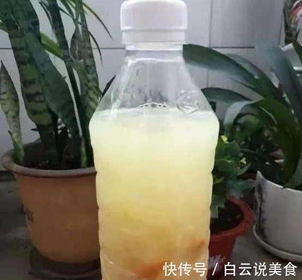 冬季浇花，只用“一神奇水”，不用花“1分钱”，比营养液都好用