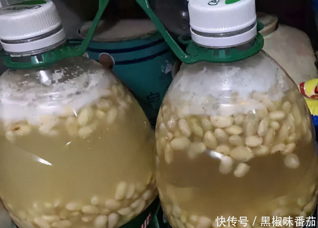 枝干|铁、氮、磷、钾元素,植物缺少哪一种都会预警,你对照下吧