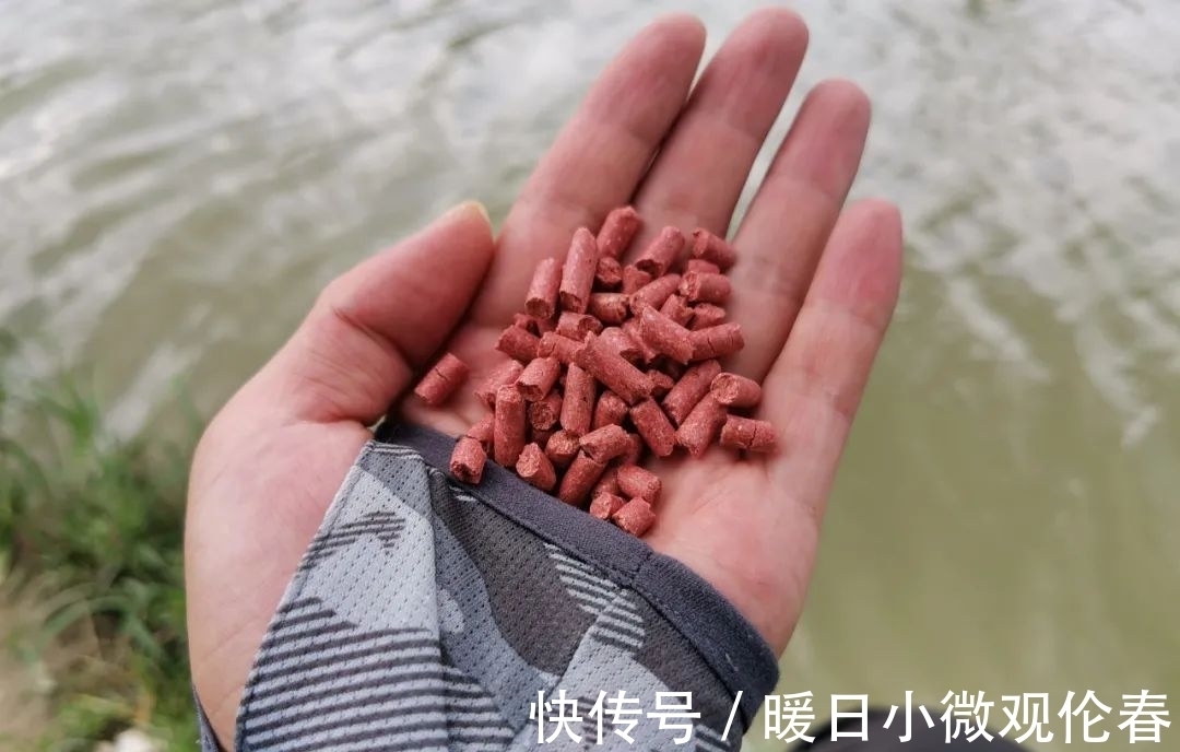 野钓|颗粒饵的几种用法,不仅仅是为了省钱,钓鱼效果也不一般