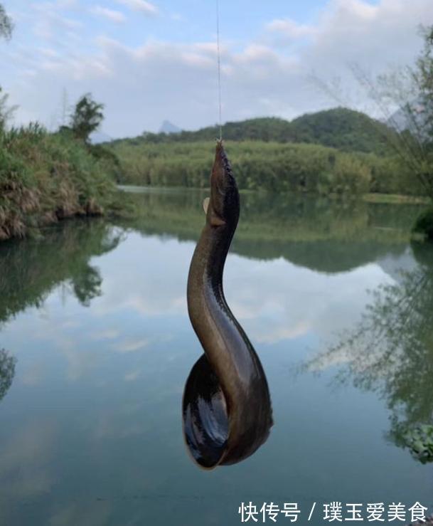 碳布|这几种渔具不要买，因为他们赚了你的钱还把你当傻瓜，记牢了