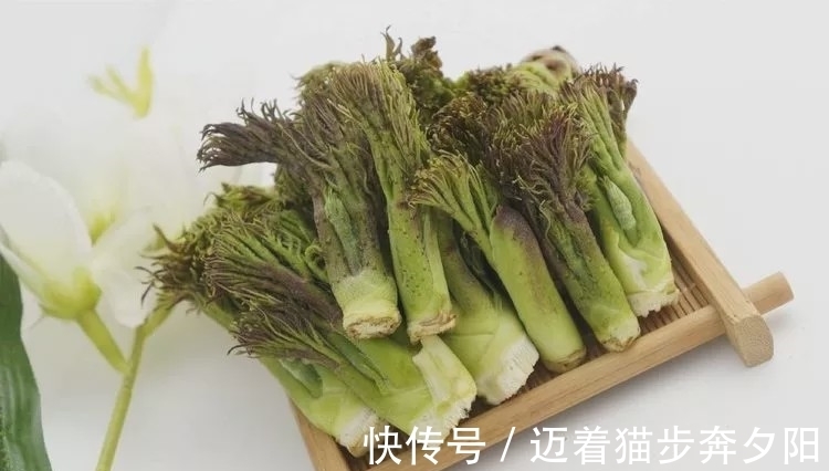 种植|一种长满刺的野菜,你敢吃吗?有人大规模种植,一斤卖50元