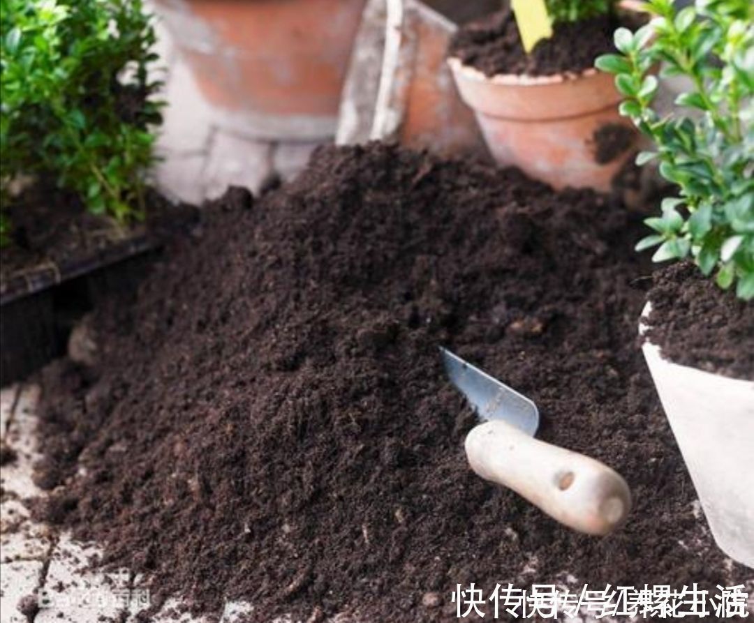 松软|营养土不用买，几种材料掺一起，养分充足又松软，适合养各种花