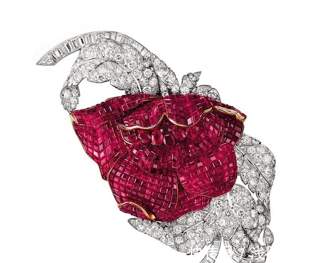 van$梵克雅宝在巴黎举行Florae珠宝展幻境花园!