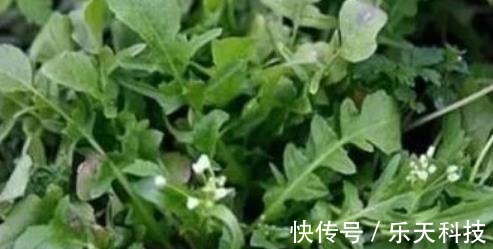 静脉注射|人到中年想长寿,不妨多吃以下四种食物,补血补肾,早吃早健康