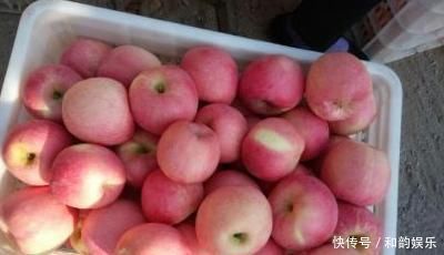 忠告|忠告吃苹果不可碰此物,吃了就是没病找病,为健康了解下