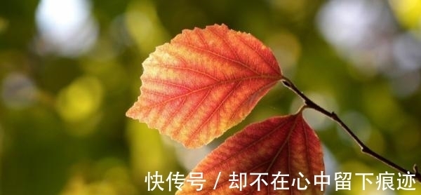 暴富|7月份，双子座运势详解，人间水蜜桃，暴富剧本到手