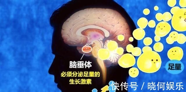 生长激素|孩子几点睡觉最好?要想孩子长高,抓住黄金睡眠时间,父母别忽视