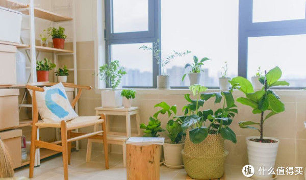 coco|苏州一对夫妻的“穷装”新家，引起强烈舒适，越简单，越幸福