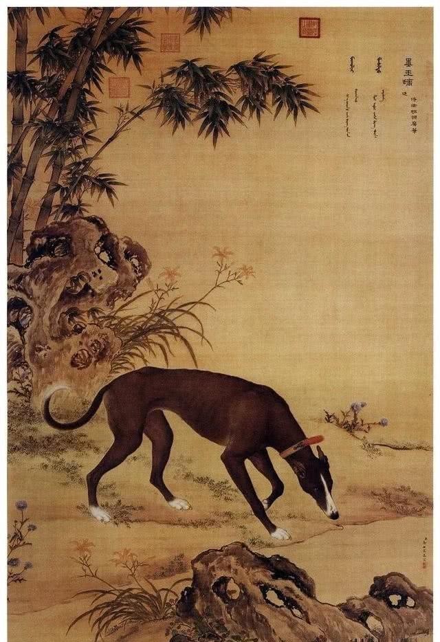 民间|民间说“狗肉上不了宴席”,为何还有那么多人吃狗肉?原因有很多