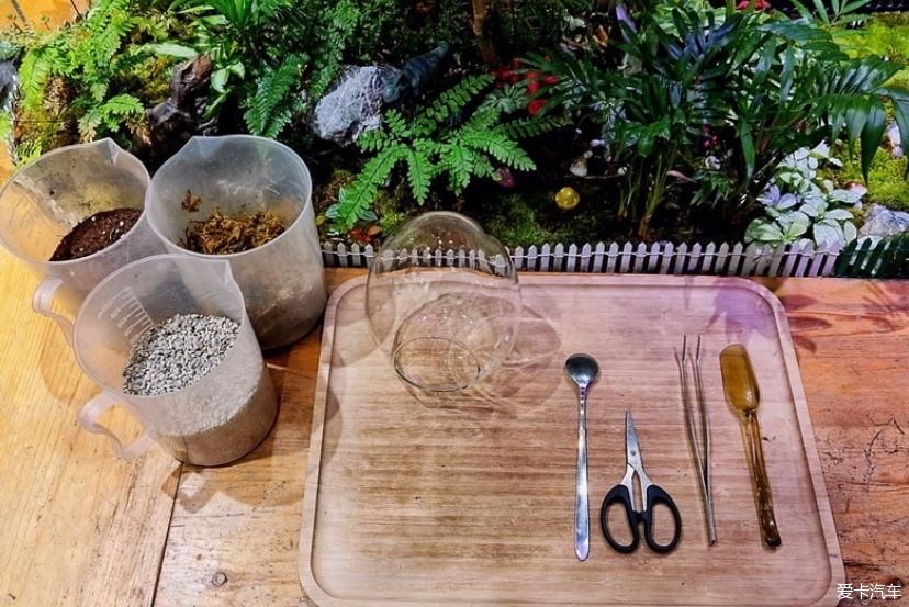 冬天的峨眉一个童话般的冰雪世界，真是美不胜收