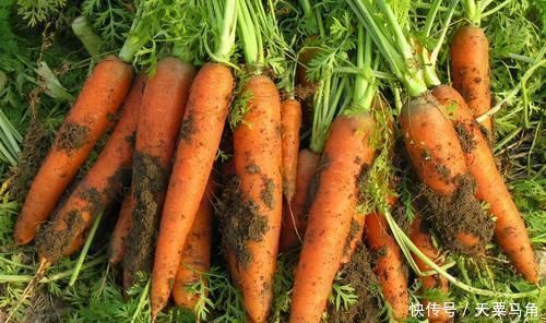 想长寿得会吃，三种食物换着吃，皱纹淡了，皮肤细腻，眼睛更明亮