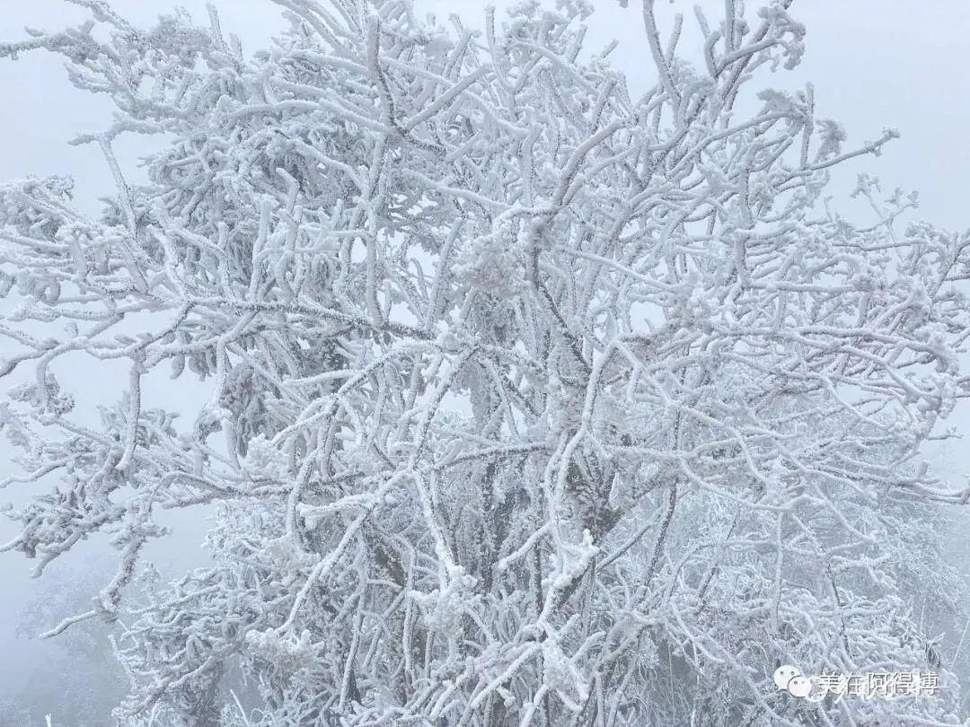 记忆 ｜寒潮再次来袭，还记得前几天的雪吗？