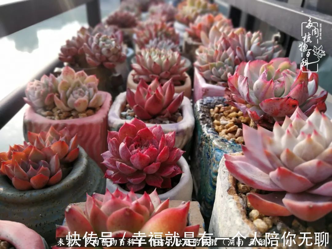 爱这一片缤纷的色彩，因为我们都是好色之徒！