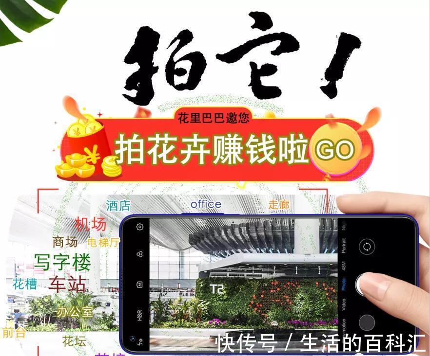 场景|绿植花卉,本草于一个家,可闻香,可观赏,可入画,可成香