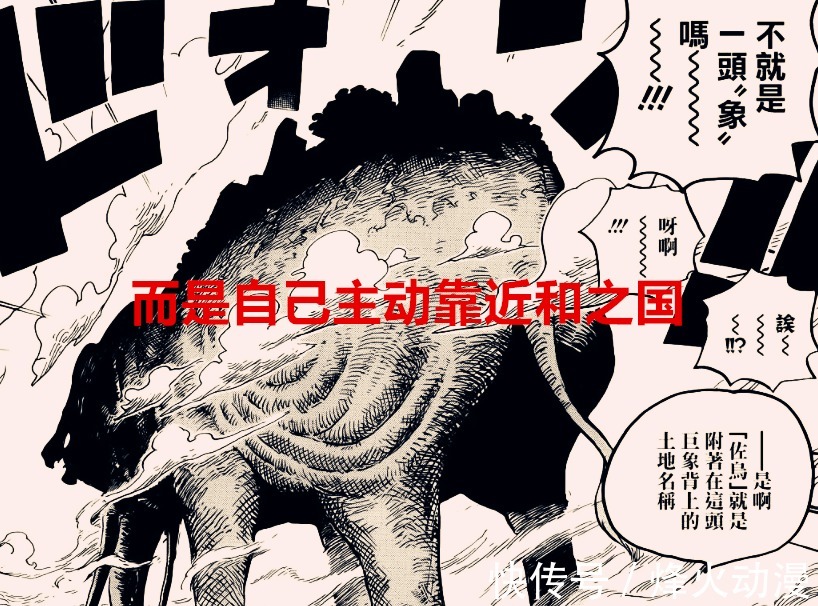 指令|海贼王1037话:象主并非是被召唤过来的,而是要去祭奠当年的对手