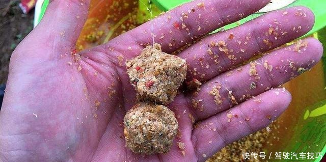 过瘾|再三强调,搓饵按我说的用,上钩的鱼儿一条大过一条,特过瘾