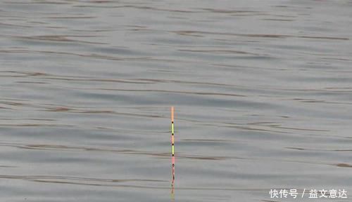 浮漂|钓鱼调漂技巧:硬尾浮漂和软尾浮漂,在调漂体验上有哪些不同?