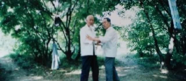 李亦畬|王宗岳《十三势歌》传承录(9)内练真功夫,外示养生术