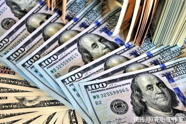  美元|《美元纸币特写》双尾蝎-协助拍摄