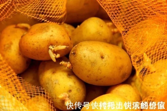 今天才知道，保存土豆这么简单，放一年不腐烂不发芽，不学真可惜