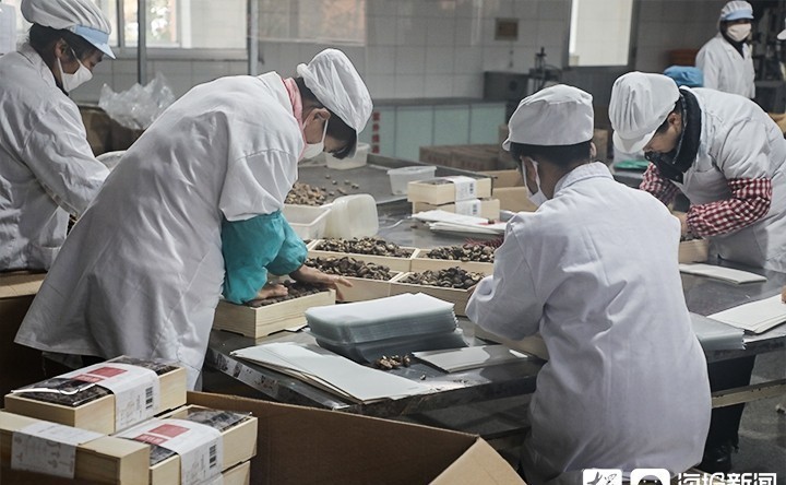 走进|走进强盛：零距离目击食品“诞生”全流程（组图）