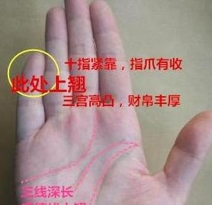 此处 往上翘的女人 非富即贵 不是 少奶奶 就是 富太太 快资讯 此处 往上翘的女人 非富即贵 不是 少奶奶 就是 富太太 快资讯