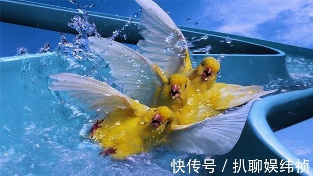 二胎|生二胎的理由都在这里 哪个理由打动你生二胎