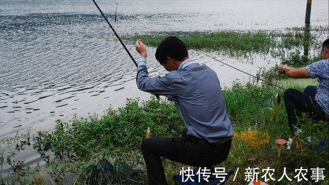 湖北一男子野钓遇上鳜鱼窝,新手在此也能连杆,网友:请假去钓鱼