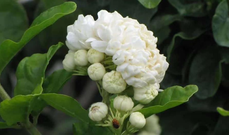 俗语“人怕腊月生,又怕腊月死”,为何这么说,有啥深层含义