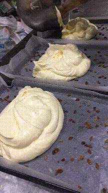 |搞笑GIF趣图:主人不让拆房子,我只能玩点廉价的了