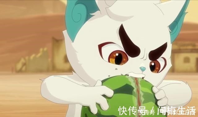 小青|京剧猫吃货白糖也有“不贪吃”的食物,星罗班集体反感