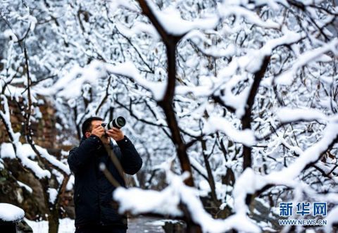 区观赏雪|雪落太行