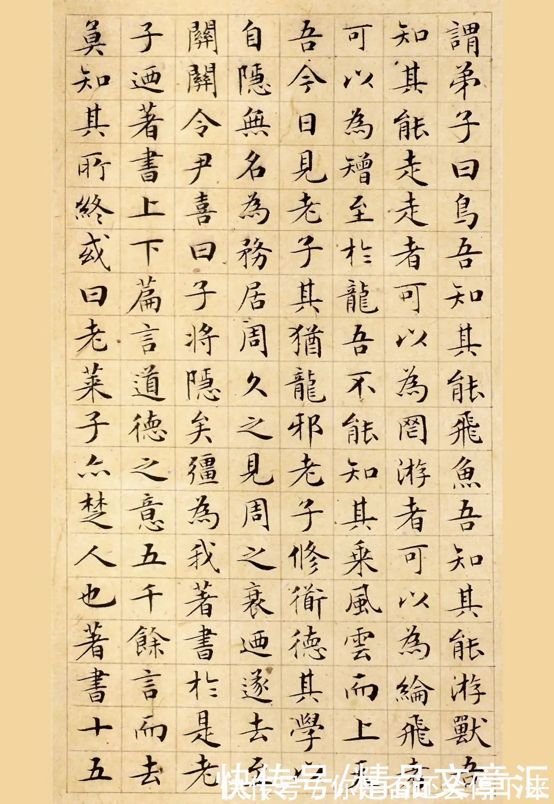 文徵明#文徽明小楷《老子列传》高清欣赏,老辣精致、温润秀劲